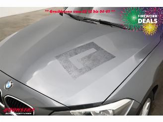 BMW 1-serie 116d EDE Navi Airco Cruise PDC picture 5