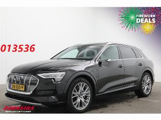 Unfallwagen Audi E-tron 55 Quattro MirrorCam 360° Memory SHZ AHK 2019/5