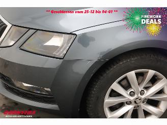 Skoda Octavia Combi 1.6 TDI Greentech Ambition Business Navi Clima Cruise SHZ PDC picture 16