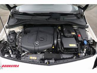 Mercedes B-klasse 220 CDI 7G-Tronic Ambition Navi Airco Cruise Camera PDC picture 8