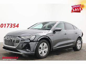 Damaged car Audi E-tron 55 quattro S edition 95 kWh LED ACC Apple/Android Camera SHZ 2022/12