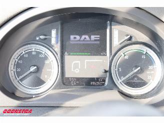 DAF CF 290 FA Kuhler Thermo King Dhollandia Euro 6 picture 21