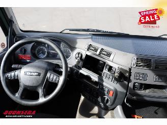 DAF CF 260 FA Aut. Kuhlkoffer Dhollandia Euro 6 picture 15