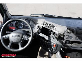 DAF CF 260 FA Aut. Kuhlkoffer Dhollandia Euro 6 picture 15