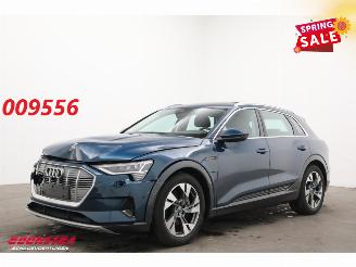 Damaged car Audi E-tron 55 quattro advanced 95 kWh LED Virtual Cruise PDC 2019/12