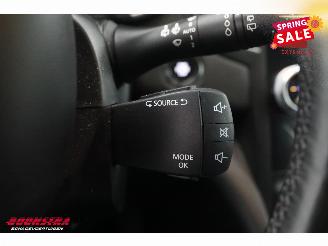 Renault Mégane Estate 1.5 Blue dCi Zen LED Navi Clima Cruise Camera picture 14