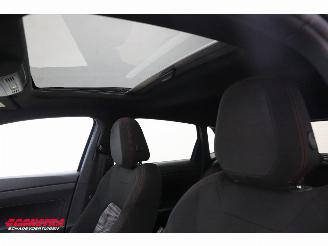 Volkswagen Polo 2.0 TSI GTI DSG Pano LED Navi Clima Cruise SHZ PDC picture 23