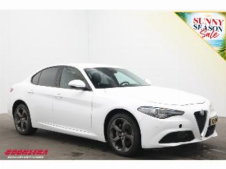 Alfa Romeo Giulia 2.2 Eco Business Super Leder BiXenon Navi Clima Cruise Camera picture 2