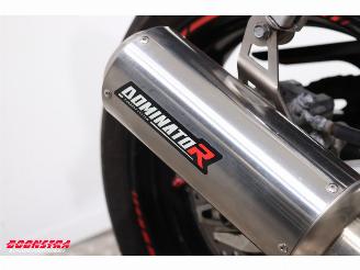 Honda  CBR 600F Dominator picture 14