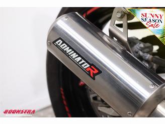 Honda  CBR 600F Dominator picture 14