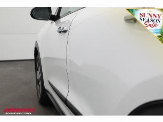 Kia e-Niro DynamicLine 64 kWh ACC Navi Clima SHZ LrHZ Camera PDC picture 13