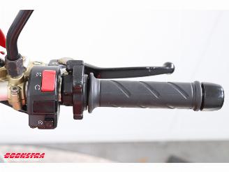 Ducati  Monster S4R Termignoni picture 15