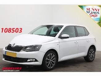 Auto incidentate Skoda Fabia 1.0 TSI Drive Navi Clima Cruise PDC 80.188 km! 2018/12