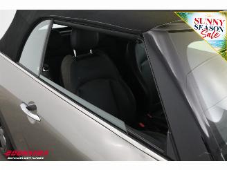 Mini Cabrio 2.0 Cooper S Aut. Chili Serious Business H/KCruise Clima Leder SHZ 59.827 km! picture 13