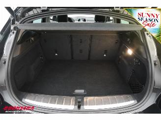 BMW X2 sDrive18i AUT Cruise Navi Clima SHZ Camera PDC picture 27