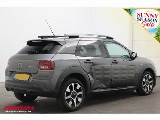 Citroën C4 cactus 1.2 PureTech Cruise Navi Clima Mulicity Connect Camera PDC picture 3