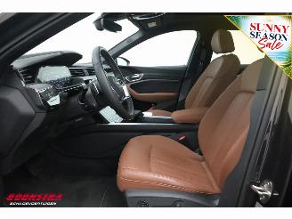 Audi Q8 50 quattro Advanced 95 kWh B&O Pano ACC Leder Memory SHZ Apple/Android Virtual Camera PDC picture 18
