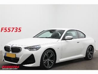 Ocazii autoturisme BMW 2-serie Coupé 220i M Sport Cruise Navi SHZ Virtual Apple/Android Camera PDC 2025/7
