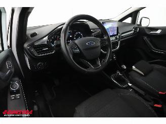 Ford Fiesta 1.0 EcoBoost Titanium ACC Navi Clima Apple/Android Camera PDC picture 19