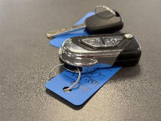 DS Automobiles DS 3 1.2 Puretech 82 Business NAP picture 21