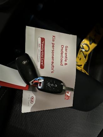 Kia Niro 1.6 GDI Hybrid Dynamic Line Automaat picture 11