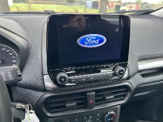 Ford EcoSport 1.0 picture 12