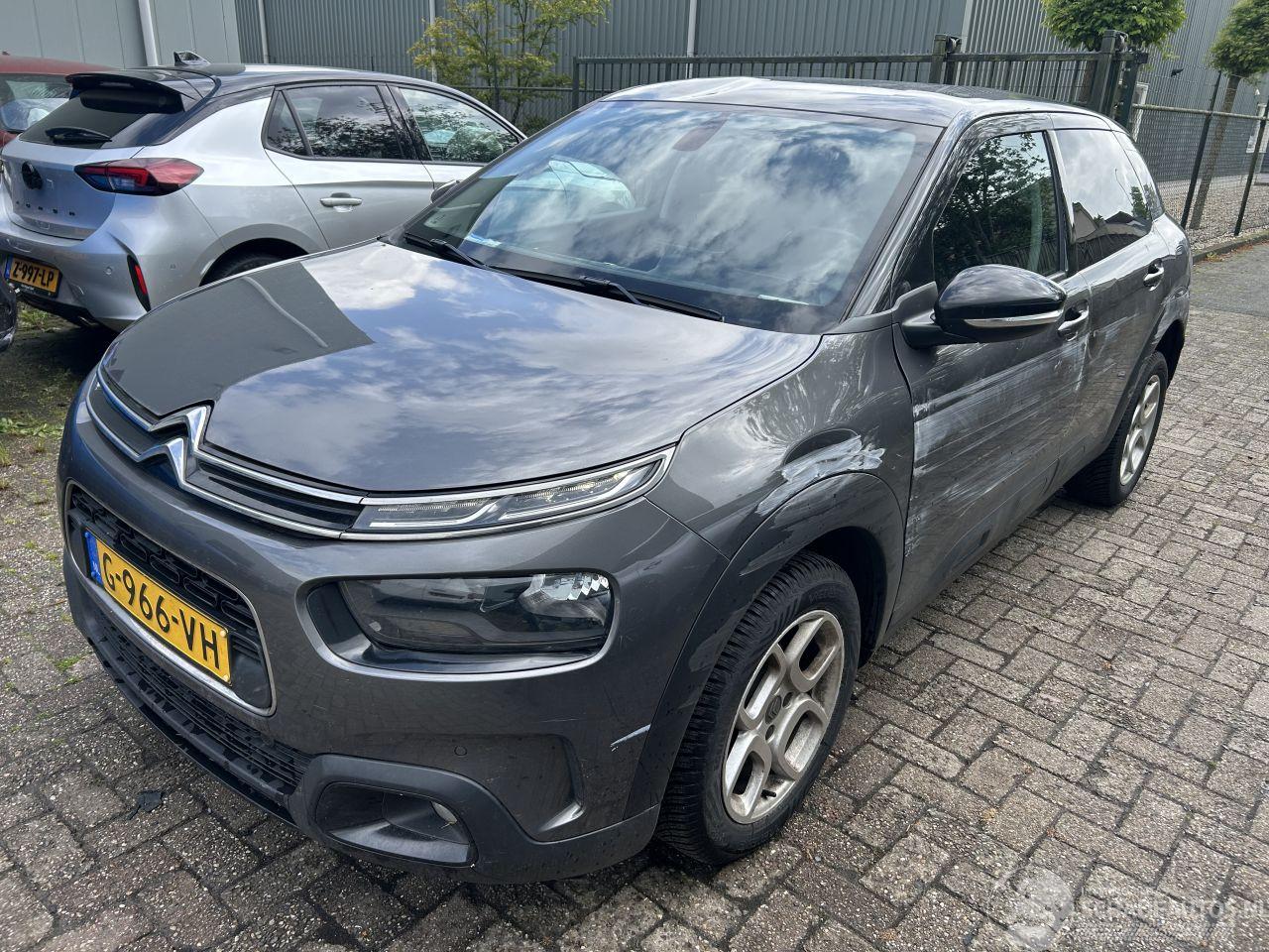 Citroën C4 cactus 1.2 PureTech Origins