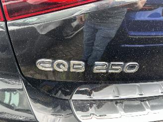 Mercedes EQB 250  Automaat Business line  67 kWh picture 9