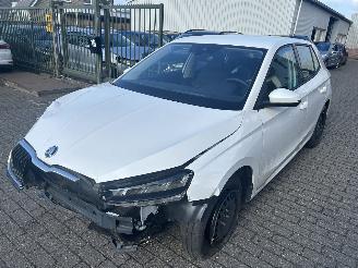 Coche accidentado Skoda Fabia 1.0 TSI 2025/11