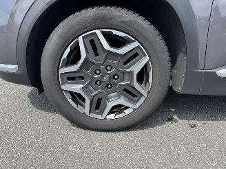 Hyundai Santa Fe Santa Fe Premium Hybrid 4WD Panorama Leder Voll picture 16