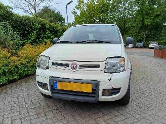 Fiat Panda 1.2 Climbing 4x4 picture 16