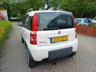 Fiat Panda 1.2 Climbing 4x4 picture 13