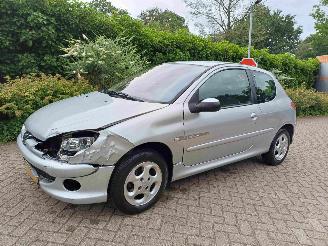Peugeot 206 1.4 Quiksilver picture 3