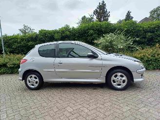 Peugeot 206 1.4 Quiksilver picture 12