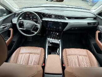 Audi Q8 E-Tron 50 Quattro picture 9