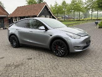 Tesla Model Y Performance 393 KW / Long Range / AWD / Panorama / Leer picture 2