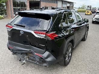 Toyota Rav-4 2.5 Hybrid / 131 KW / Panorama dak picture 5