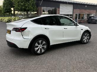 Tesla Model Y RWD 58 kWh / Panorama picture 5