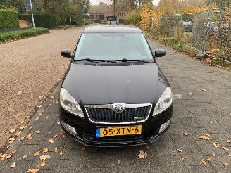  Skoda Fabia 1.2 TDI GREENLINE 2012/9