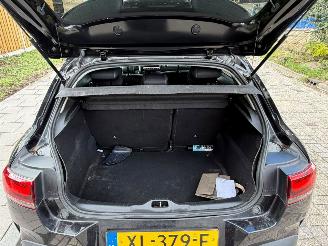 Citroën C4 cactus 1.2 PURE TECH SHINE picture 18