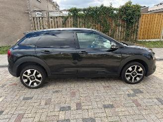 Citroën C4 cactus 1.2 PURE TECH SHINE picture 7