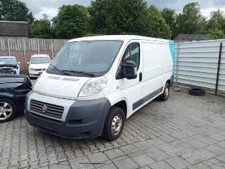 Fiat Ducato Ducato (250), Van, 2006 2.0 D 115 Multijet picture 1