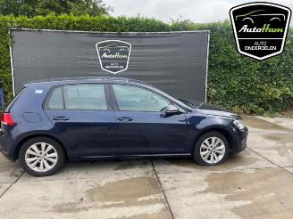 Volkswagen Golf Golf VII (AUA), Hatchback, 2012 / 2021 1.6 TDI BlueMotion 16V picture 1