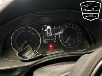 rozbiórka samochody osobowe Skoda Kamiq Kamiq, SUV, 2019 1.0 TSI 12V 2023/12