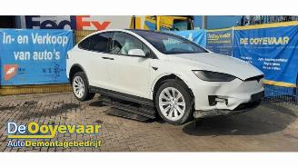 Sloopauto Tesla Model X Model X, SUV, 2013 / 2026 P100D 2017/6