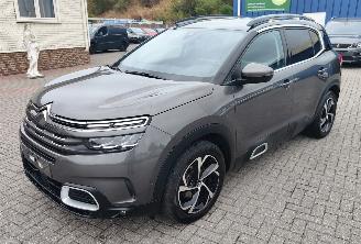occasion passenger cars Citroën C5 Aircross Citroën C5 Aircross Feel Pack perfecte staat riem al gewisseld 2021/9