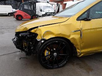 Volkswagen Golf R-TYPE picture 9