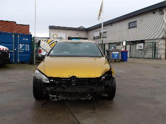 Volkswagen Golf R-TYPE picture 2