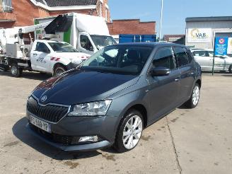 krockskadad bil auto Skoda Fabia  2019/1
