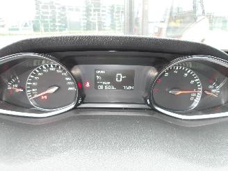 Peugeot 308  picture 16